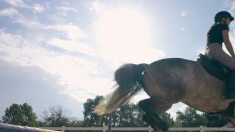 Showjumping-horse-with-female-jockey,-jumping-over-hurdles,-low-angle-shot