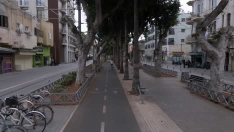 Cyclist-in-a-tree-lined-bike-path-in-the-middle-of-the-road-in-Tel-Aviv