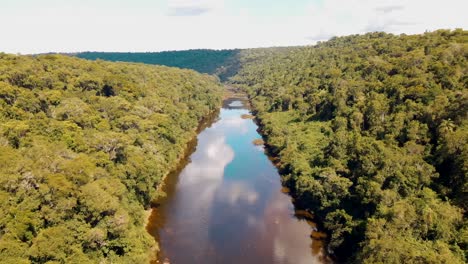 Aerial-birds-eye-flight-over-Argentinian-River-surrounded-by-deep-jungle-at-sunny-day,-Argentina