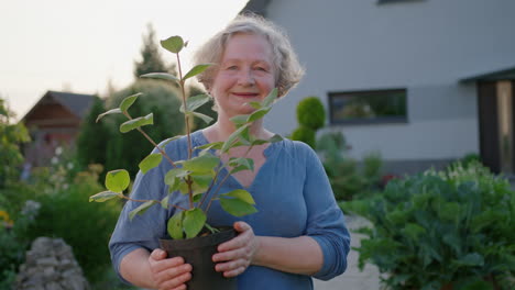 Eine-ältere-Frau-Hält-Eine-Selbst-Angebaute-Pflanze-In-Den-Händen-–-Ein-Naturschutzkonzept