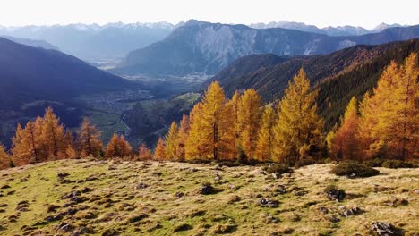 Wunderschöne-Filmische-Luftaufnahmen-Von-Orangefarbenen-Herbstbäumen-Auf-Einem-Grashügel