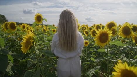 Beautiful-happy-woman-shakes-her-hair-at-sunflower-field-in-sunset---nature-concept