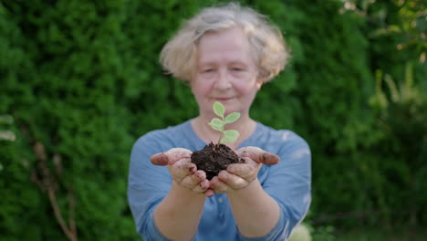 Old-woman-holds-up-soil-with-single-green-garden-plant-in-it,-frontal