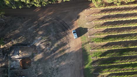Top-Down-Shot-Of-Car-Driving-Near-Vineyards-At-Margaret-River,-Western-Australia