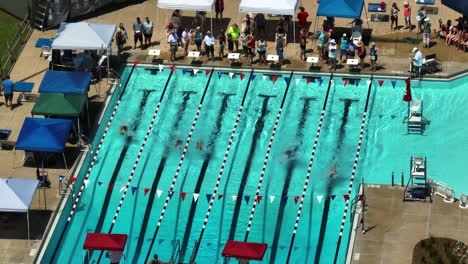 Schwimmer-Rennen-Im-Freibad