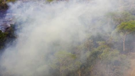 Imágenes-Aéreas-En-Una-Zona-En-Llamas-En-La-Selva-Amazónica-De-Brasil.