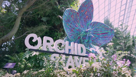 Exhibiciones-De-Orquídeas-En-Los-Jardines-Junto-A-La-Bahía-En-Singapur