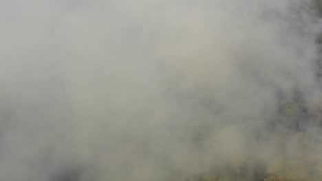Disparo-Con-Drones-De-Grandes-Incendios-Forestales-En-La-Selva-Amazónica
