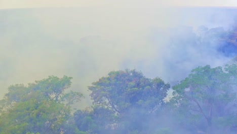 steady-shot-of-the-amazon-burning