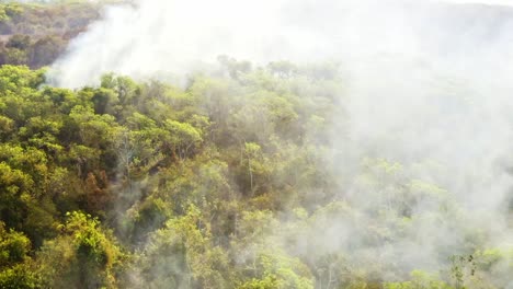 aerial-image-from-the-wild-fire-and-smoke-to-the-burned-area-in-the-Brazilian-fire-season-in-the-amazon-jungle