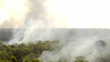 aerial-images-of-a-wild-fire-on-the-amazon-jungle-in-Brazil