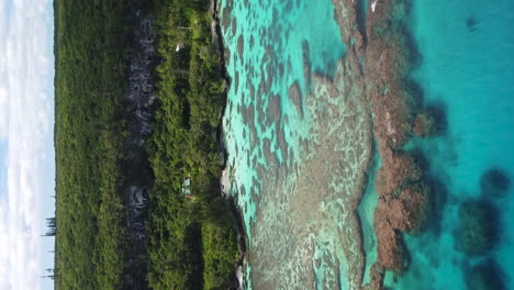 Aerial:-Maré-Island-in-New-Caledonia-Loyalty-Islands,-secluded-coral-reef-beach