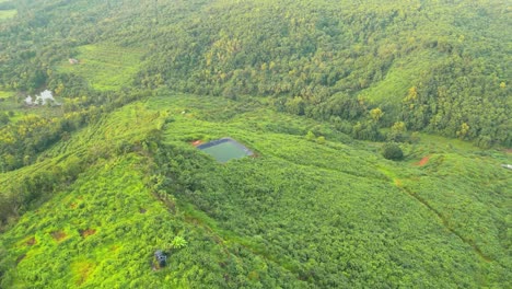 Landwirtschaft-Wasserspeicher-Teichfolie-In-Einem-Wald-In-Malvan