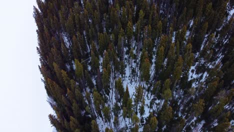 Blick-Hinunter-Auf-Eine-Verschneite-Waldbaumgrenze-Am-Rande-Eines-Zugefrorenen-Sees