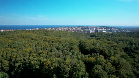 Arial-backwards-shot-showing-forest-landscape-with-Gdynia-City-in-background-during-sunny-day-in-summer---Baltic-Sea-water-at-horizon