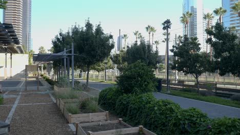 Vídeo-Pacífico-En-4k:-Vistas-A-Las-Jardineras-Y-árboles-Junto-Al-Museo-Infantil,-Centro-De-San-Diego---26-De-Septiembre-De-2023