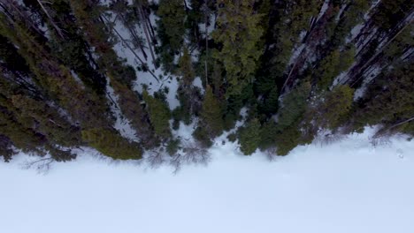 Looking-Down-on-a-Snowy-Forest,-Tree-line-on-the-Edge-of-a-Frozen-Lake