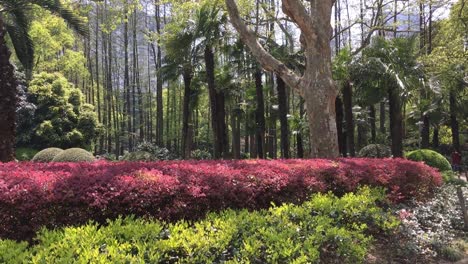 Panning-shot-of-Peoples-Park-in-Shanghai-China-with-lot-of-trees-and-flowers