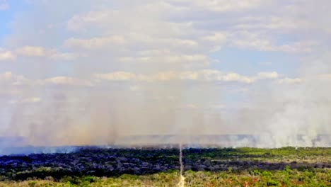 Drone-Vuela-Sobre-Una-Zona-Quemada-En-La-Selva-Amazónica