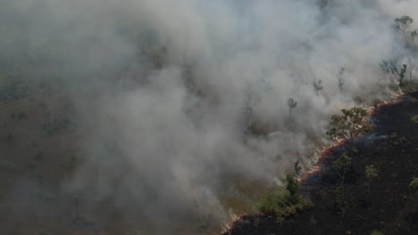 Katastrophales-Bild-Einer-Riesigen-Brennenden-Fläche-Im-Amazonas-Regenwald