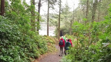 Kartenlesegruppe-Beim-Wandern-Und-Kartenlesen-In-West-Cork,-Irland,-An-Einem-Herbstnachmittag-Im-Wald