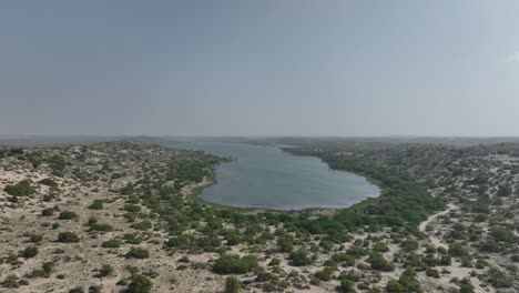 Filmische-Luftaufnahme-Des-Botar-Sees-Mit-Sanddünen-Und-Wildpflanzen-In-Pakistan