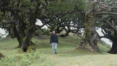 Man-walks-towards-camera-in-Fanal-forest-in-Madeira