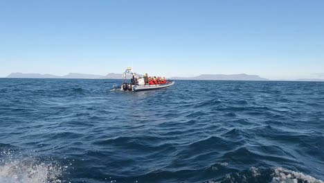 Schlauchboot-Auf-Der-Suche-Nach-Walen-In-Reykjavík