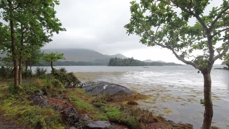 Picturesque-West-Cork-Ireland-trail-on-the-shoreline-and-forest-on-a-damp-autumn-day