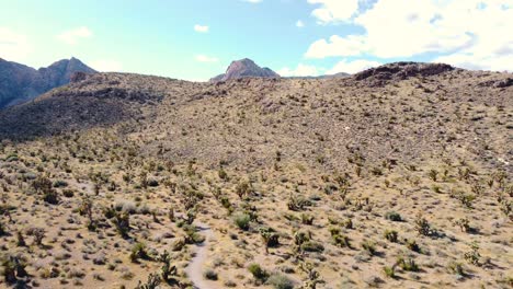 Drone-Sobre-El-Desierto-En-Un-Día-Soleado