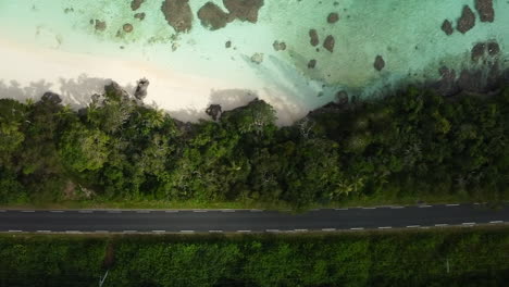 Aerial-top-down-shot-of-secluded-coral-reef-beach-and-deserted-road-in-Loyalty-islands