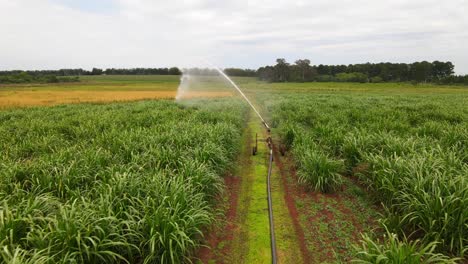 Approaching-Low-Level-Drone-View-of-Sprinkler-Spraying-Crops
