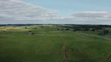 Aerial-shot-of-a-Cow-Farm-from-a-distance