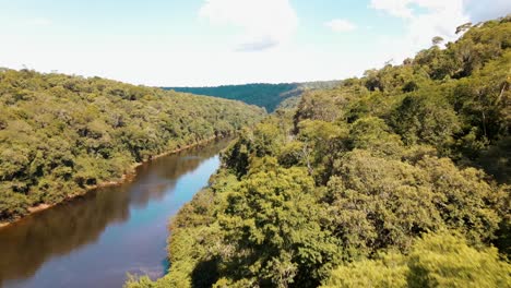 Cinematic-drone-flight-over-green-amazon-jungle-and-tranquil-river-during-sunny-day-with-blue-sky---Argentina,-South-America