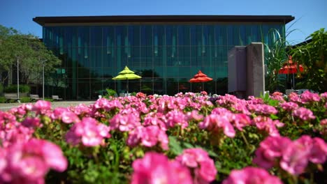 Biblioteca-Pública-De-Whitby-Con-Flores-Rosadas-En-El-Jardín-De-La-Plaza-Cívica-En-Canadá