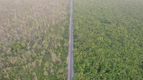 Aerial-capturing-white-colored-car-driving-on-the-road-trough-forest-area,-daytime-capture