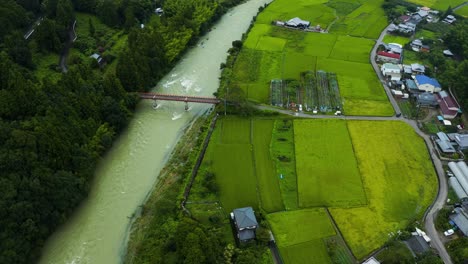 Luftaufnahme-Des-Flusses,-Der-An-Bauernhöfen-In-Shikoku,-Japan-Vorbeifließt
