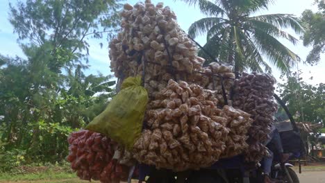 Chicharon-delivery-boys-on-a-heavily-overloaded-tricycle-deliver-this-popular-Filipino-snack