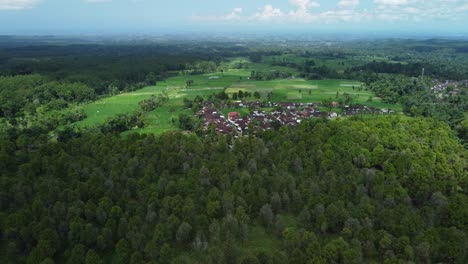 Vista-Aérea-Sobre-El-Paisaje-Escénico-De-Baju-Kidul-Con-árboles-Forestales-Y-Un-Pequeño-Pueblo-En-Java-Oriental,-Indonesia