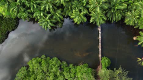 Drone-Disparado-Sobre-Un-Río-Con-Puente-De-Madera,-Exuberante-Vegetación,-Reflejo-En-El-Agua-De-Nubes-Y-Palmeras,-Mahe,-Seychelles