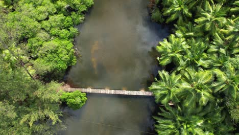 Drone-shot-over-river-with-wooden-bridge,-lush-vegetation,-reflection-in-water-of-clouds-and-palm-trees,-Mahe,-Seychelles-2