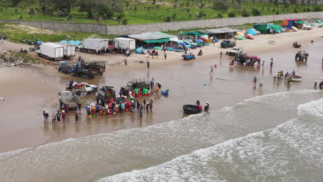 Aerial-view-of-seafood-sorting-facility-on-the-beach,-transferring-seafood-on-trucks,-delivering-market-in-Vietnam