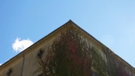Nahaufnahme-Einer-Schlossecke,-Dach-Sichtbar,-Blauer-Himmel,-Herbstliche-Kletterpflanze,-Kleeblattfenster