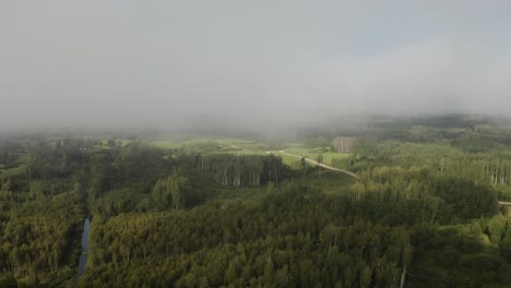 Flying-through-Clouds-over-the-Forest.-Aerial