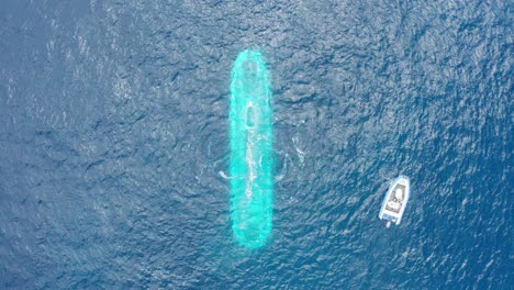 Aerial-rising-bird's-eye-shot-of-a-submarine-blowing-the-last-of-its-ballast-tank-as-it-submerges-underwater-off-the-shores-of-Kailua-Kona-in-Hawai'i