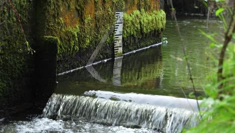 Englischer-Kanal-Mit-Wasserstandsanzeige