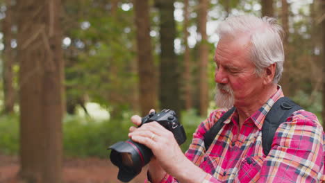 Älterer-Mann-Im-Ruhestand-Wandert-In-Der-Waldlandschaft-Und-Macht-Fotos-Mit-Einer-DSLR-Kamera