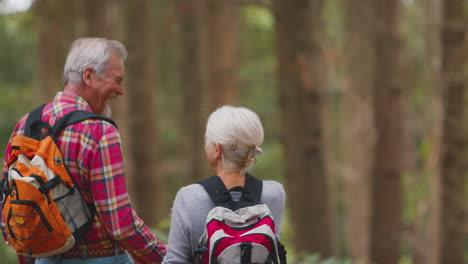 Rear-View-Of-Loving-Retired-Senior-Couple-Holding-Hands-Walking-In-Woodland-Countryside-Together