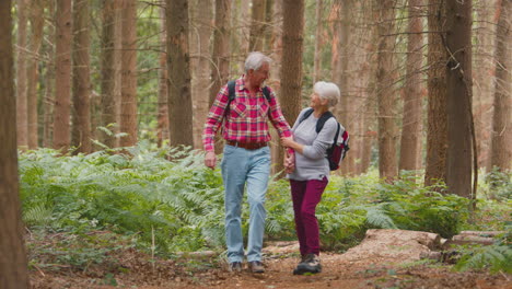 Loving-Retired-Senior-Couple-Holding-Hands-Walking-In-Woodland-Countryside-Together