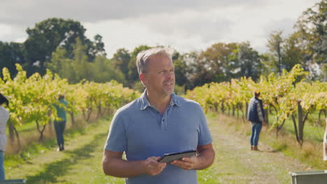 Mature-Male-Owner-Of-Vineyard-With-Digital-Tablet-In-Field-With-Workers-At-Harvest